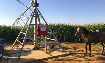 Imagem 2: Fazenda com irrigação por pivo central às margens do São Francisco em Abaeté MG