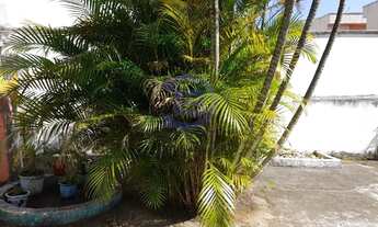 Imagem: TERRENO BURGO PAULISTA