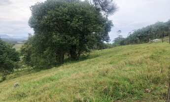 Imagem 4: Terreno a venda em Gamboinha, Paulo Lopes