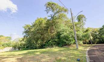 Imagem 7: CURITIBA - Loteamento/Condomínio - Orleans