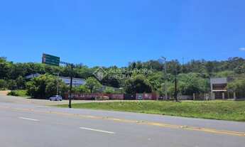 Imagem 4: NOVO HAMBURGO - Terreno Padrão - Alpes do Vale