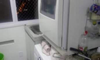 Imagem 7: Apartamento no condomínio Belluno - Jundiaí SP