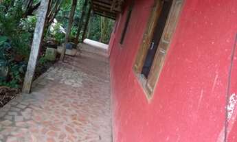 Imagem 4: Casa no jardim 2