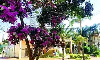 Imagem 5: Santo André - Apartamento Padrão - Jardim Santo André