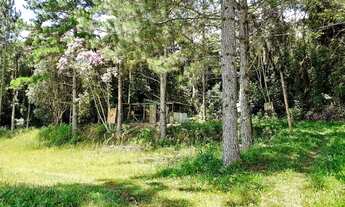 Imagem 6: Sítio rural para Venda em Taiaçupeba - Mogi das Cruzes/SP