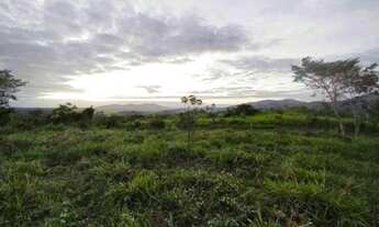 Imagem 5: Sítio com casa nova