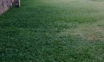 Imagem 6: Vendo casa em Arniqueira