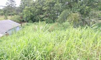 Imagem 6: Terreno para Venda em Quatro Barras, Jardim Orestes Thá