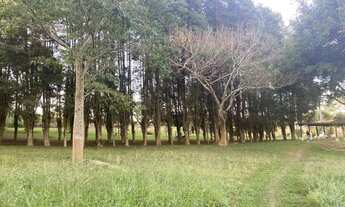 Imagem 5: Terreno a venda direto com o proprietário