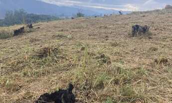 Imagem 3: No prazo Terreno / lote com venda por R$50.000