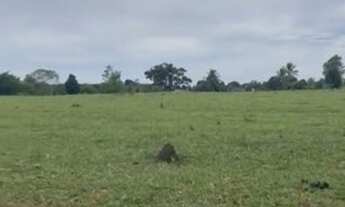 Imagem: Fazenda à venda, 871200 m² por R$ 18.000.000,00