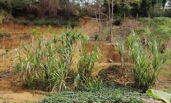 Imagem 5: VENDO CHACARA Chácara com venda por R$70.000