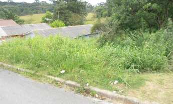 Imagem 4: Terreno para Venda em Quatro Barras, Jardim Orestes Thá