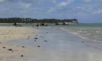 Imagem 2: LOTES CONDOMINIO AGUAS MANSAS -PARIPUEIRA