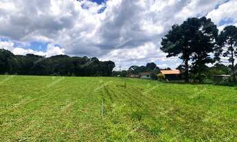 Imagem 3: Excelente chácara Sem Benfeitorias