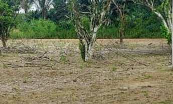 Imagem 2: LOTEAMENTO DE CHÁCARA AGUA VIVA, 1000M², PIÇARRA, ILUMINAÇÃO, LOTES PLANOS, COM ENTRADA MÍ