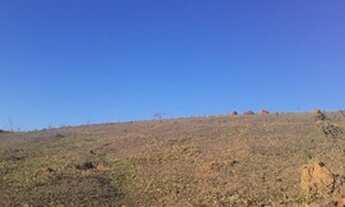 Imagem 3: Terreno para Chacara