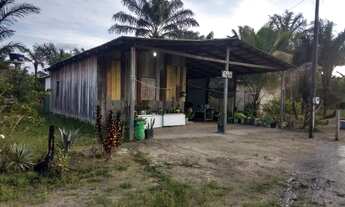 Imagem 7: Pequeno sítio na vila barauana