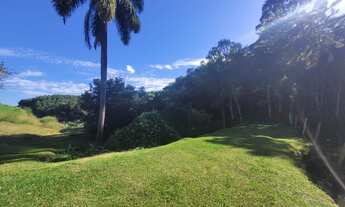 Imagem 5: Terreno próximo à SC 418, situado entre Sai Bento e Campo Alegre. Terreno com suporte para