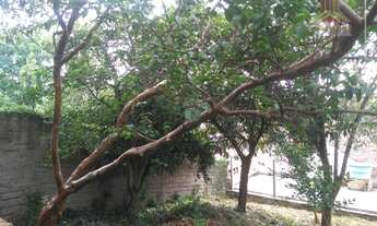 Imagem 14: Vendo terreno no Bairro Cristo Redentor em Porto Alegre