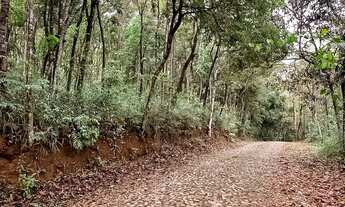Imagem 3: Terreno à venda, Pasárgada, Nova Lima, Minas Gerais