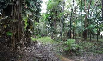 Imagem 3: AV. DE GRANDE FLUXO - LOCALIZAÇÃO PRIVILEGIADA