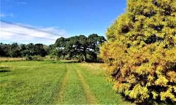 Imagem 7: Chácara com 3 dormitórios à venda, 90000 m² por R$ 749.000,00 - Neópolis - Gravataí/RS