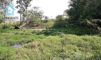 Imagem 6: Sítio em Pereiras, Oportunidade!