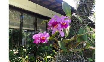 Imagem 5: Rio de Janeiro - Casa de Condomínio - Barra da Tijuca