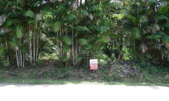 Imagem: Terreno, Praia da Lagoinha, Ubatuba - R$