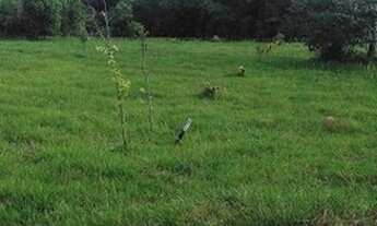 Imagem 2: Lagoa do Cassange Península de Maraú