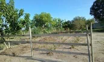 Imagem 7: Fazenda/Sítio/Chácara para venda possui 90 metros quadrados com 2 quartos em Tataúba - Caç