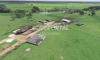 Imagem: Fazenda no Pará - Castanhal - 1163 ha (240