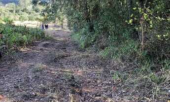 Imagem 5: Invista com lotes imperdíveis em Ibiúna - SP