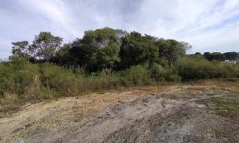 Imagem 4: Ótimo Terreno para condomínio à 5 min da Prefeitura C Magro