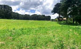 Imagem 7: Excelente chácara Sem Benfeitorias