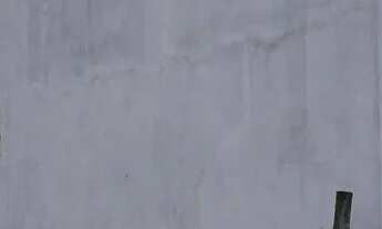 Imagem 4: Casa em Piranema