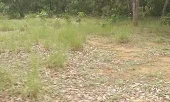 Imagem 7: . Uma Fazenda de 50 alqueires município de Pium Tocantins