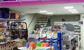 Imagem 7: Loja Pet Shop Faturando alto Baln Camboriu Leia Anuncio