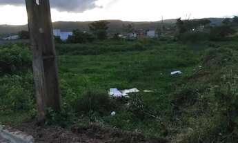 Imagem 3: Terreno com 2.060 m2 no centro da cidade