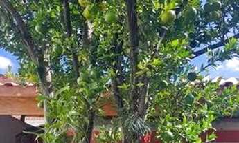 Imagem 5: Casa Térrea com Belo Terreno - 205m² total - Venda -Jardim Caravelas, São Paulo 2 dormitór