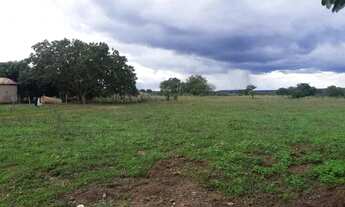 Imagem 14: . Uma Fazenda 110 alqueires 67 km de Porto Nacional