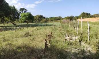 Imagem: Terreno em Horizonte - CE - 70 x 75