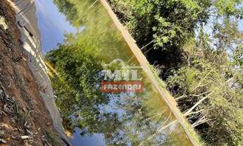 Imagem 7: Vende-se chácara em PIRACANJUBA - GO com 11.100 m2