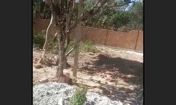 Imagem 2: Lote na Varzea das flores barato