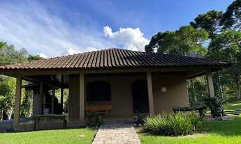 Imagem 3: Chácara a venda 20 alqueires , reflorestamento de eucalipto, casa com piscina