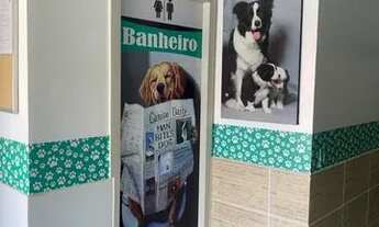 Imagem 2: OPORTUNIDADE CLÍNICA VETERINÁRIA