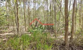 Imagem 5: Sítio em Área Rural - Rafard