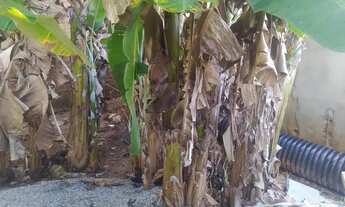 Imagem 5: Terreno Murado Terreno / lote com venda por R$16.500