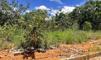 Imagem 4: Vendo terreno sítio em Jequitibá